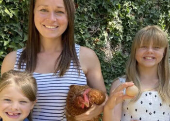 ഈ-കോഴി-മുട്ട-വിറ്റത്-47,000-രൂപയ്ക്കാണ്;-ഞെട്ടണ്ട,-സത്യമാണ്.-കാരണം-എന്താണെന്ന്-അറിയണോ?