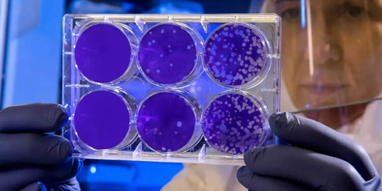 langya-virus-symptoms-|-മൃഗങ്ങളില്‍-നിന്നും-മനുഷ്യരിലേക്ക്-പകരുന്ന-പുതിയ-‘ചൈന-വൈറസ്’-ലാംഗ്യയുടെ-ലക്ഷണങ്ങള്‍