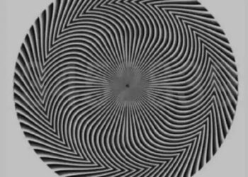 നിങ്ങളുടെ-കാഴ്ചപ്പാടും-ശ്രദ്ധയും-അളക്കാം.-ഒറ്റ-നോട്ടത്തില്‍-ഈ-ചിത്രത്തില്‍-എത്ര-അക്കങ്ങളുണ്ടെന്ന്-കണ്ടുപിടിക്കാമോ?