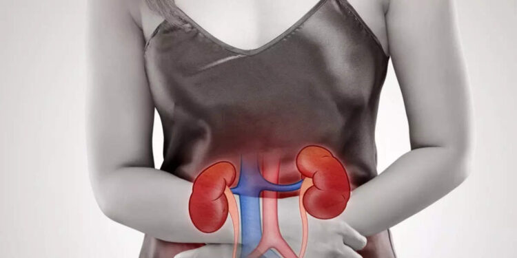 kidney-cancer:-വൃക്കയിലും-കാന്‍സര്‍-വരും-ഇക്കാര്യങ്ങള്‍-ശ്രദ്ധിച്ചില്ലെങ്കില്‍