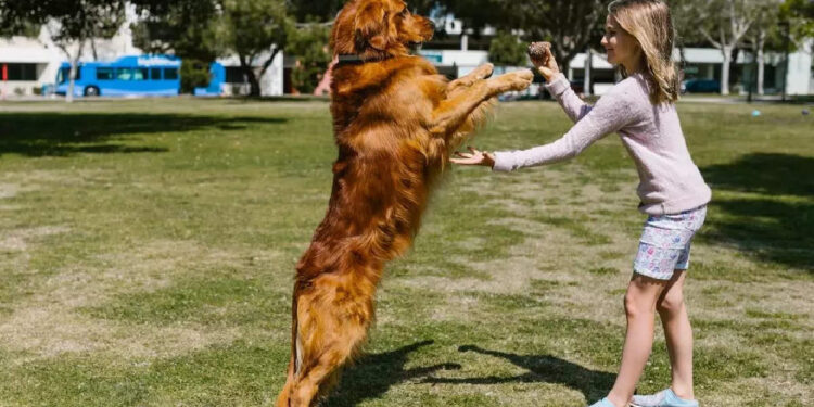 പെണ്‍കുട്ടിക്കൊപ്പം-ഒളിച്ചു-കളിക്കുന്ന-ആള്‍-ആരാണെന്ന്-കണ്ടോ?-രസകരമായ-വീഡിയോ-വൈറല്‍