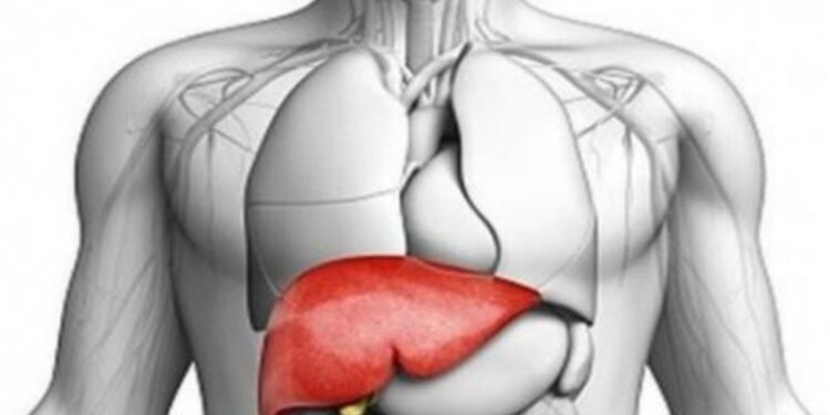 liver-transplant:-ഇക്കാര്യങ്ങള്‍-അറിഞ്ഞാല്‍-കരള്‍ദാനം-ചെയ്യുവാന്‍-ആരും-മടിക്കുകയില്ല