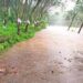 സംസ്ഥാനത്ത്-ഇന്നും-അതിശക്തമായ-മഴ-തുടരും;-മലയോര-മേഖലയില്‍-ജാഗ്രത-,-ഉരുള്‍പൊട്ടല്‍-സാധ്യത