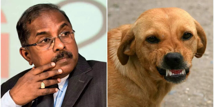 ‘പേവിഷബാധ-മൂലം-ഒരാൾ-മരിക്കുന്നത്-മാപ്പില്ലാത്ത-കുറ്റം’;-‘ഉത്തരവാദിത്തം-ആരോഗ്യ-വകുപ്പിന്’