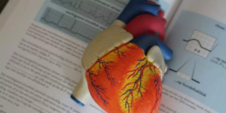 ഇവയെല്ലാം-ഹൃദയാഘാതമുണ്ടാക്കും;-കാരണങ്ങള്‍-എണ്ണിപറഞ്ഞ്-ഇന്ത്യന്‍-ഗവേഷകര്‍