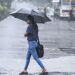 അതിശക്തമായ-മഴ-തുടരും;-ഇന്ന്-10-ജില്ലകളിലും-നാളെ-മൂന്നിടത്തും-ഓറഞ്ച്-അലേർട്ട്