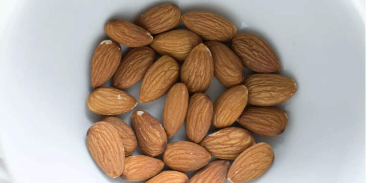 almond-benefits:-ബദാം-കുതിർത്ത്-കഴിക്കുന്നത്-ശീലമാക്കൂ;-​ഗുണങ്ങൾ-പലതാണ്