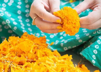 happy-onam-2022-wishes:-സന്തോഷത്തിന്റെയും-സമൃദ്ധിയുടെയും-ഒരു-ഓണക്കാലം-കൂടി;-പ്രിയപ്പെട്ടവര്‍ക്കായി-ഓണാശംസകള്‍-നേരാം.