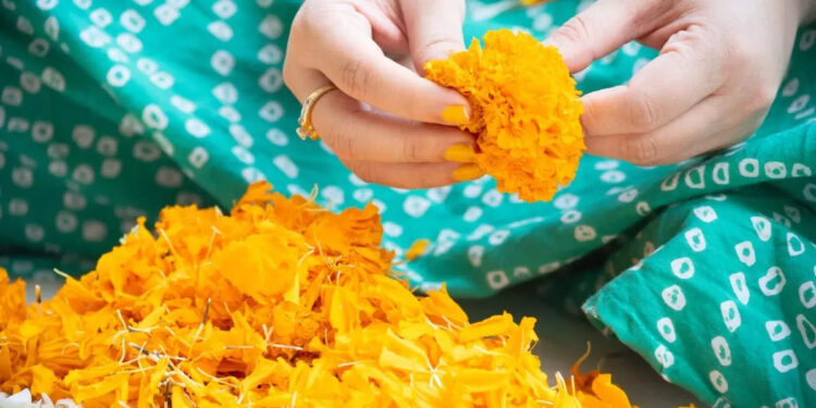 happy-onam-2022-wishes:-സന്തോഷത്തിന്റെയും-സമൃദ്ധിയുടെയും-ഒരു-ഓണക്കാലം-കൂടി;-പ്രിയപ്പെട്ടവര്‍ക്കായി-ഓണാശംസകള്‍-നേരാം.