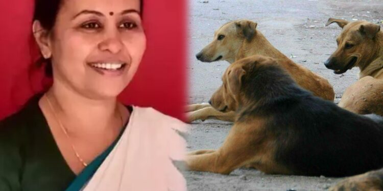 ‘ദയവായി-പ്രഹസനം-ഒഴിവാക്കൂ’,-‘തെരുവുനായയ്ക്കല്ല,-മനുഷ്യർക്കാണ്-സംരക്ഷണം-വേണ്ടത്’;-മന്ത്രി-വീണ-ജോർജിനെതിരെ-വിമർശനം