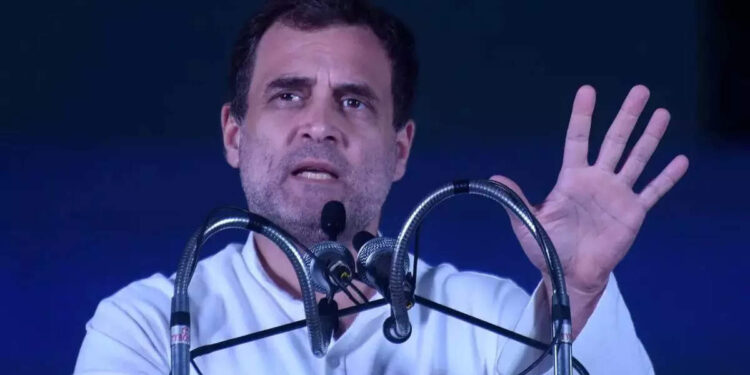 വിഴിഞ്ഞം-പദ്ധതിയെ-എതി‍ർക്കുമോ-രാഹുൽ?-ഇന്ന്-സമരനേതാക്കളുമായി-കൂടിക്കാഴ്ച;-ഭാരത്-ജോഡോ-യാത്രയിൽ-പിന്തുണ-തേടി-കോൺഗ്രസ്