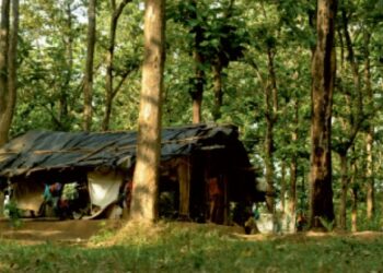 പിറപ്പ്-നടുക്കുന്ന-യാത്ര-ഓർമകൾ