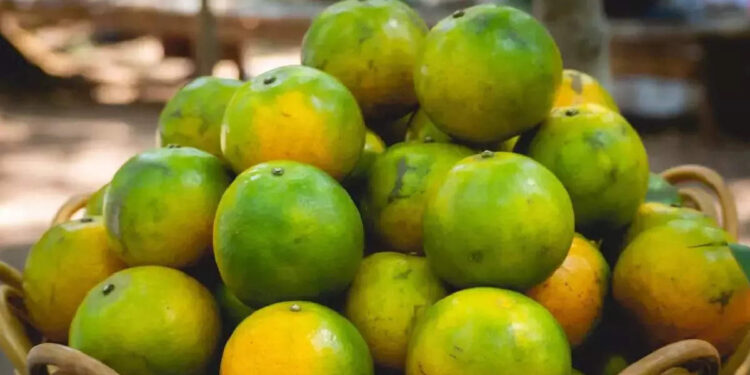 തിളക്കമുള്ള-ചര്‍മ്മത്തിനും-മികച്ച-ആരോഗ്യത്തിനും-മുംസബി;-അറിയം-മുംസബിയുടെ-ഗുണങ്ങള്‍