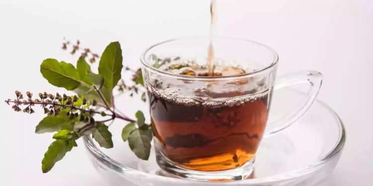 tulsi-tea:-ചുമ-മുതല്‍-ഹൃദ്രോഗം-വരെ-സിമ്പിളായി-പരിഹരിക്കും;-അറിയാം-തുളസി-ചായയുടെ-ഗുണങ്ങൾ