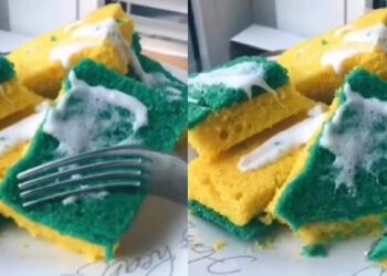 പാത്രം-കഴുകുന്ന-സ്‌പോഞ്ച്-കഴിച്ചാല്‍-എങ്ങനെയുണ്ടാകും?-ഒറിജിനലിനെ-വെല്ലുന്ന-രൂപത്തില്‍-ഒരു-കേക്ക്