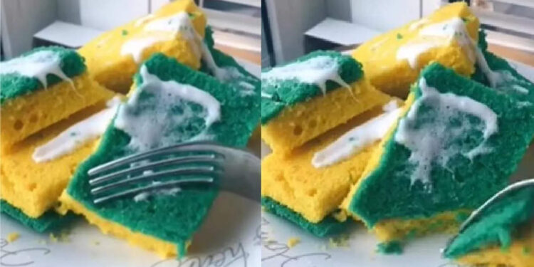 പാത്രം-കഴുകുന്ന-സ്‌പോഞ്ച്-കഴിച്ചാല്‍-എങ്ങനെയുണ്ടാകും?-ഒറിജിനലിനെ-വെല്ലുന്ന-രൂപത്തില്‍-ഒരു-കേക്ക്