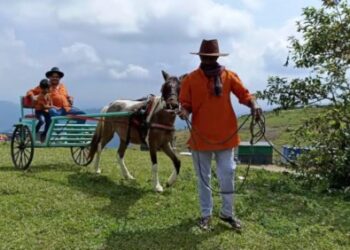 പരുന്തുംപാറയിൽ-കുതിര-വണ്ടിയിലും-കയറാം