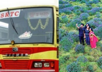 ഇടുക്കിയിൽ-നീലക്കുറിഞ്ഞി-വസന്തം:-വിനോദ-സഞ്ചാരികൾക്ക്-അവസരമൊരുക്കി-കെഎസ്ആർടിസി