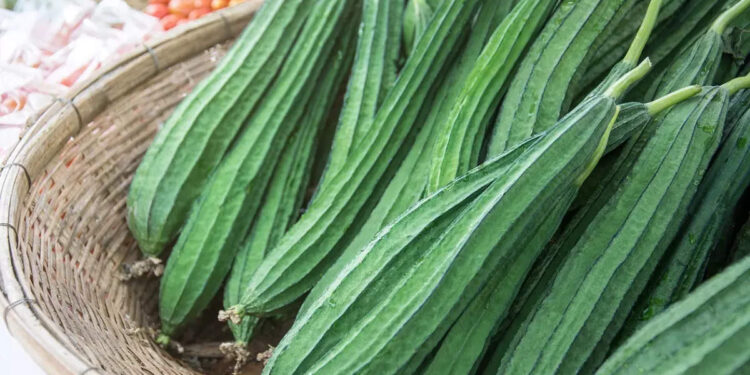 ridge-gourd:-പീച്ചിങ്ങ-കറിവെച്ച്-ദിവസേന-കഴിക്കൂ,-നിരവധിയാണ്-ആരോഗ്യഗുണങ്ങള്‍