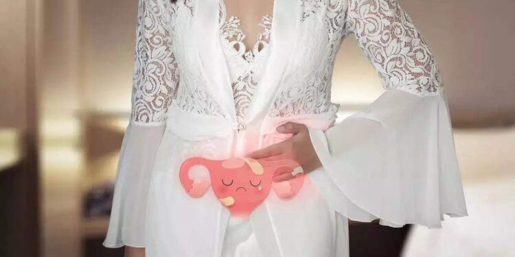 fibroid-treatments:-സ്ത്രീകളെ-അലട്ടുന്ന-ഫൈബ്രോയിഡുകൾ;-എന്തൊക്കെയാണ്-ഇതിനുള്ള-ചികിത്സ-രീതികൾ