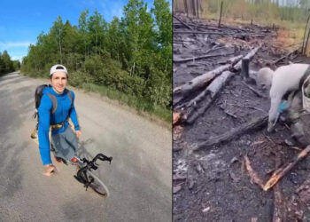 viral-video:-24-മണിക്കൂറിൽ-23,060-മരങ്ങൾ-നട്ട്-റെക്കോർഡ്-സ്വന്തമാക്കി-23കാരൻ