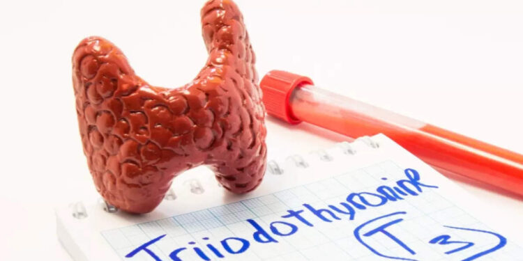 thyroid:-തൈറോയ്ഡ്-കുറയ്ക്കാന്‍-മല്ലിവെള്ളം-ഇങ്ങനെ-കുടിച്ച്-നോക്കൂ