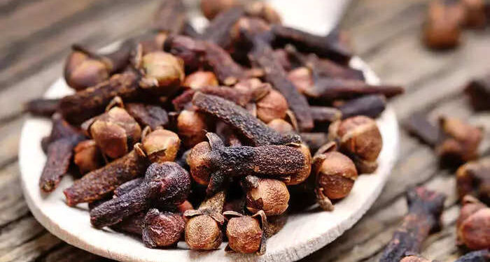cloves:-ദിവസവും-ഒരു-കരയാമ്പൂ-ചവച്ചരച്ചു-കഴിയ്ക്കൂ,-കാര്യം….
