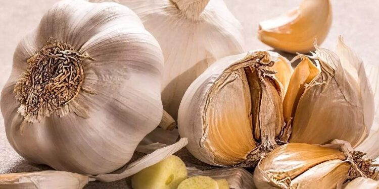 garlic-benefits:-തണുപ്പ്-കാലത്ത്-വെളുത്തുള്ളി-കഴിച്ചാൽ-നിരവധി-ഗുണങ്ങളുണ്ട്