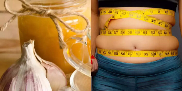belly-fat:-വയറൊതുങ്ങാന്‍-വെളുത്തുള്ളി-മിക്‌സ്