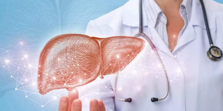 fatty-liver:-ഫാറ്റി-ലിവര്‍-കുറയ്ക്കാന്‍-കറ്റാര്‍വാഴ-നെല്ലിക്ക-ജ്യൂസ്