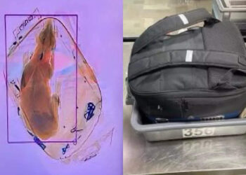 viral:-നായയുള്ള-ബാഗ്-അബദ്ധത്തിൽ-എക്സ-റേ-മെഷനിലൂടെ-കടത്തി-വിട്ട്-യുവതി