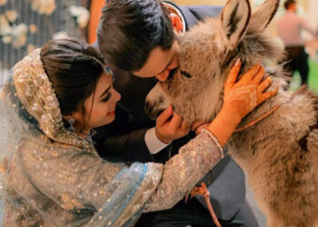 വധുവിന്-വരൻ-നൽകിയ-സർപ്രൈസ്-സമ്മാനം-കണ്ടോ?-ആദ്യം-വിമർഷിച്ച-ആരാധകർ-പിന്നീട്-കൈയ്യടിച്ചു