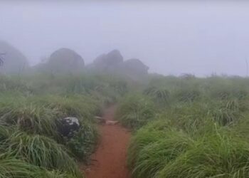 ഡിസംബര്‍-മഞ്ഞില്‍-പൊന്മുടി-കാണാം;-റോഡ്-തുറക്കുന്നു