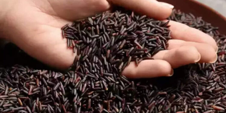 black-rice-benefits:-ആരോഗ്യത്തിന്-ഏറ്റവും-നല്ലത്-ബ്ലാക്ക്-റൈസ്