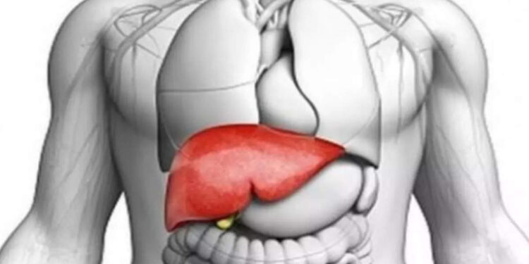 liver-detoxing-foods:-കരള്‍-ക്ലീനാക്കിഎടുക്കാന്‍-ഇതാ-ഇവ-കഴിച്ചാല്‍-മതി