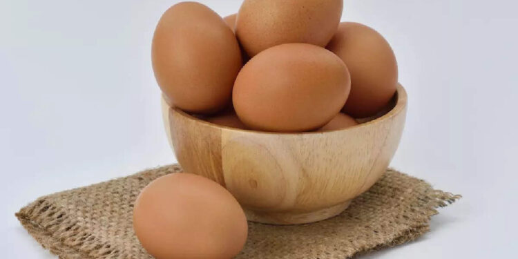 side-effects-of-eggs:-മുട്ട-അമിതമായി-കഴിച്ചാൽ-ഈ-അപടകങ്ങൾ-ഉണ്ടാകാൻ-സാധ്യതയുണ്ട്