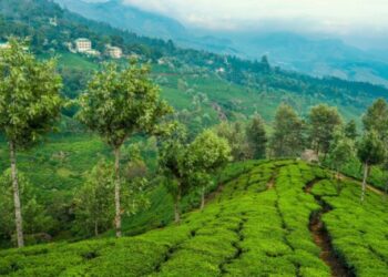 കോടമഞ്ഞിൻ-താഴ്‌വരയിൽ-അവധിയാഘോഷിക്കാൻ-ആയിരങ്ങൾ