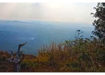 ആകാശംതൊട്ട്‌-നെല്ലിക്കാമല