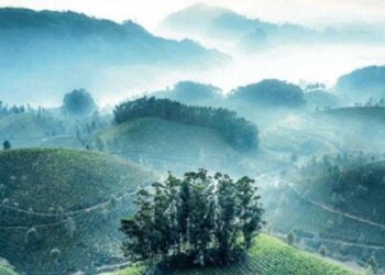 നീ-ഹിമമഴയായ്-വരൂ…;-മഞ്ഞിൽ-മനോഹരിയായി-മൂന്നാർ