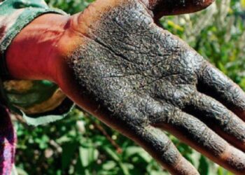 മലാനയുടെ-സ്വന്തം-സ്വർണ-ചരസ്‌…-കെ-ആര്‍-അജയന്റെ-യാത്രാവിവരണം