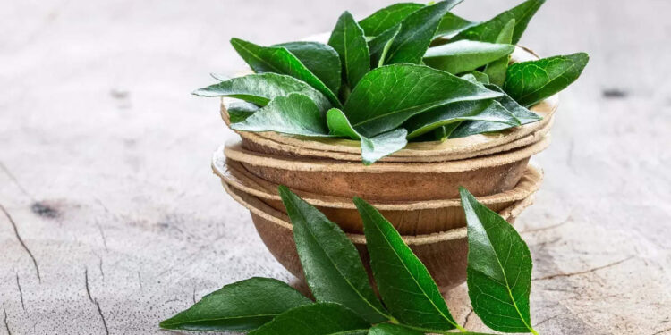 കറിവേപ്പില-ഇങ്ങനെ-കഴിച്ചാല്‍-നരയും-മുടി-കൊഴിച്ചിലും-തടയാം…