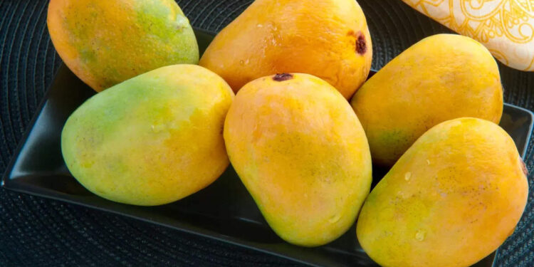 പ്രമേഹ-രോഗികള്‍-മാങ്ങ-കഴിക്കുന്നത്-നല്ലതാണോ?