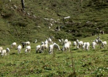 പർവതമെന്ന-കാമുകിയെ-തേടി-കെ-ആർ-അജയന്റെ-യാത്രാ-വിവരണം
