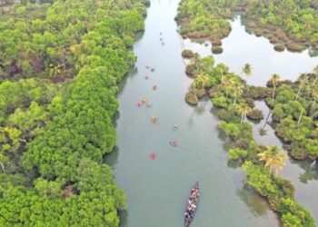ഇവിടുണ്ട്-കണ്ടലിൻ-ഇരുളും-കുളിരും;-ഇത്തിക്കരയാറും-പരവൂർ-കായലും-ചേരുന്ന-സുന്ദരകേന്ദ്രം