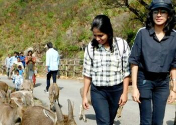 രാജമലയൊരുങ്ങി,- വരയാടുകളും;-ഇരവികുളം-ദേശീയോദ്യാനം-സന്ദർശകർക്കായി-തുറന്നു