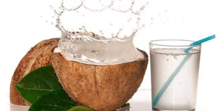 ചൂടാണ്,-ആരോഗ്യം-ശ്രദ്ധിക്കണം:-കരിക്ക്-കുടിച്ചാൽ-പലതുണ്ട്-ഗുണങ്ങൾ