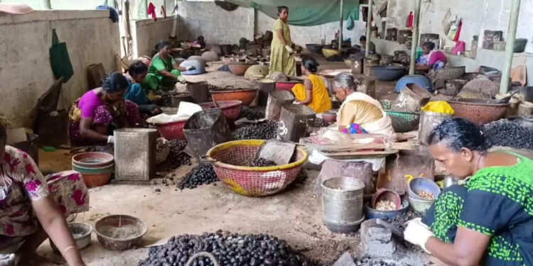 കൊല്ലത്ത്-കശുവണ്ടി-ഫാക്ടറിക്ക്-നേരെ-അക്രമം;-കമ്പനിക്കുള്ളിൽ-കടന്ന-അക്രമി-സംഘം-ഉപകരണങ്ങൾ-തല്ലി-തകർത്തു