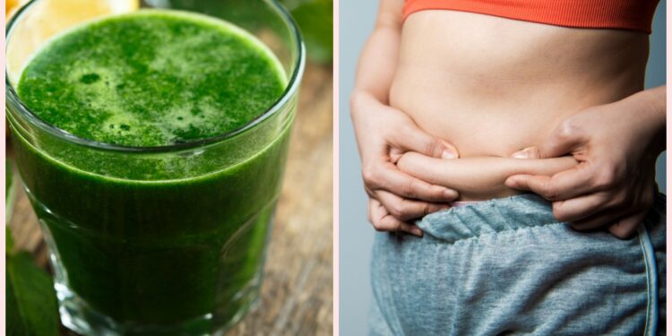 ചാടിയ-വയര്‍-ആലില-വയറാകാന്‍-ഇല-പൊടി-പാനീയം…….