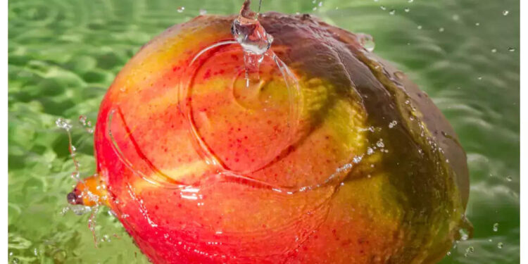 മാങ്ങ-ഉപയോഗിയ്ക്കും-മുന്‍പ്-വെള്ളത്തില്‍-മുക്കി-വയ്ക്കൂ,-കാര്യം