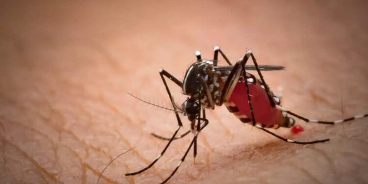 മലേറിയയുടെ-രോഗ-ലക്ഷണങ്ങളെയും-ചികിത്സയെക്കുറിച്ചും-അറിയാം